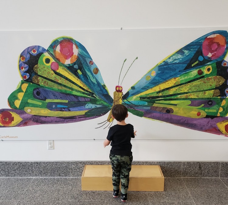 the-eric-carle-museum-of-picture-book-art-photo